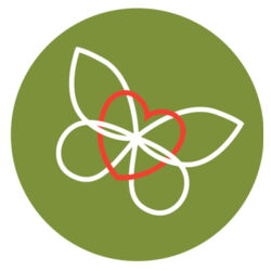 Green Butterfly Hoodie Design